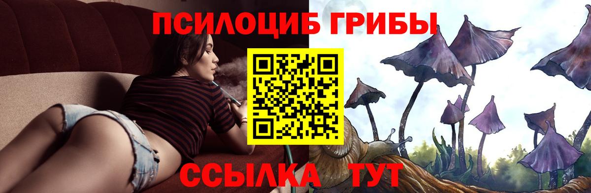 Вейп ТГК Новокубанск