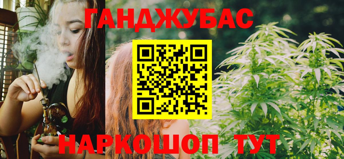 Конопля сатива Новокубанск